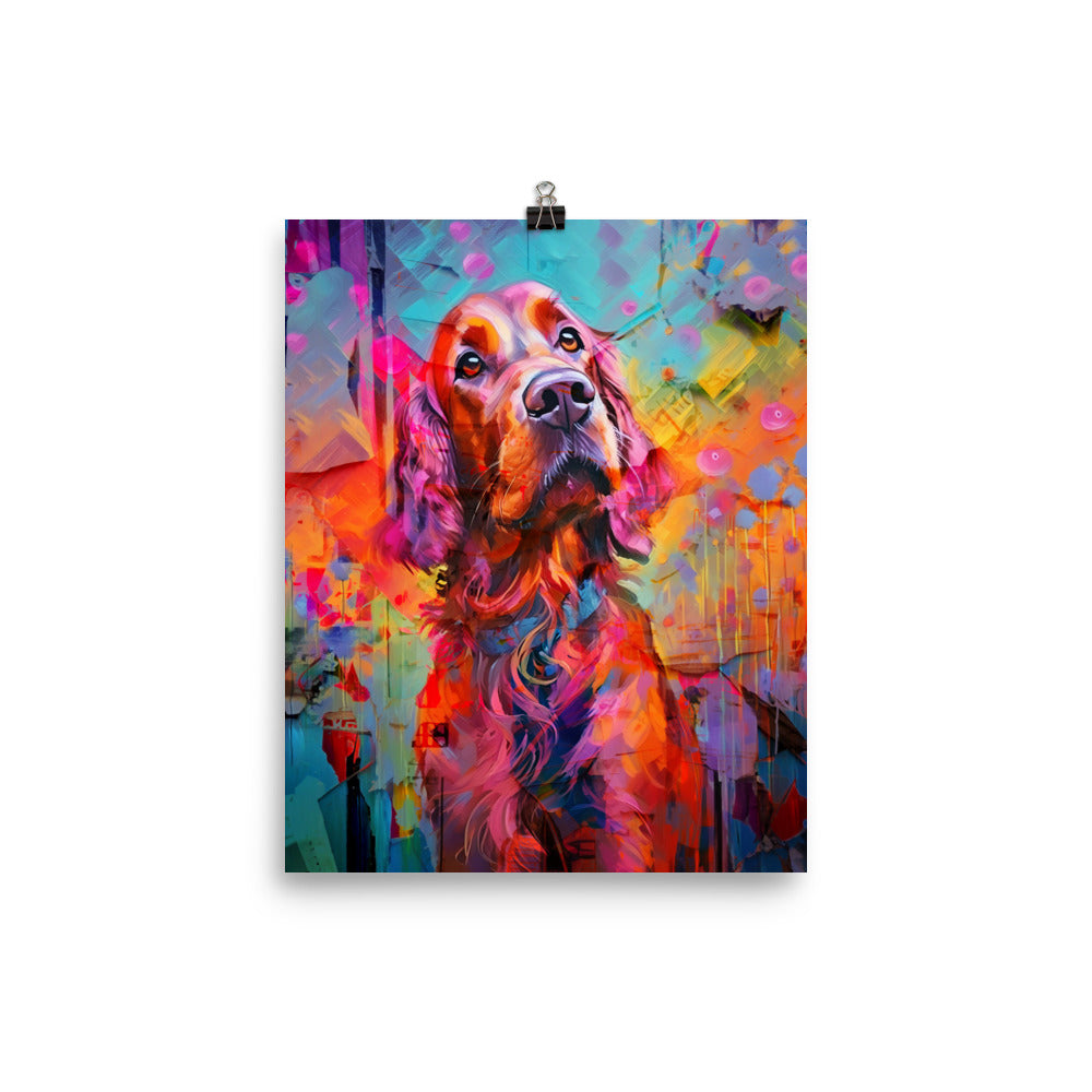 Irish Setter